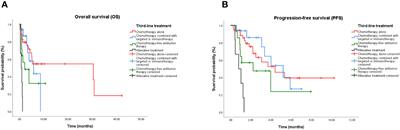 Third-line treatment options in metastatic pancreatic cancer patients: a real-world study